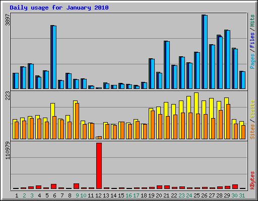 Daily usage for January 2010