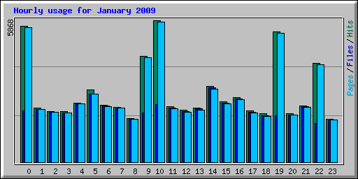 Hourly usage for January 2009