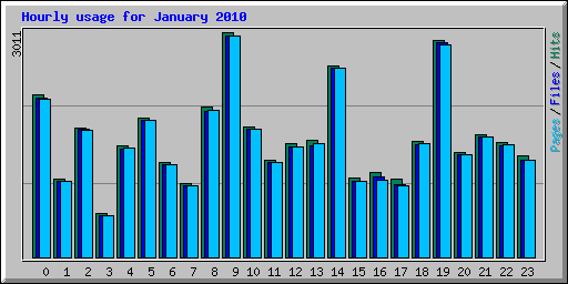 Hourly usage for January 2010