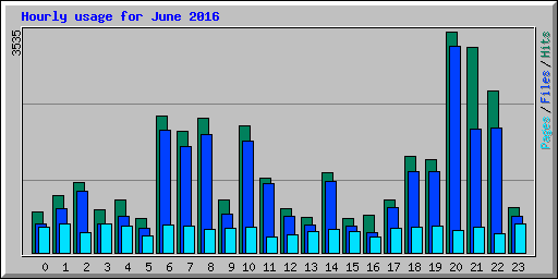Hourly usage for June 2016