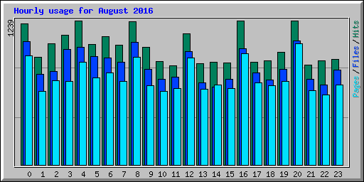 Hourly usage for August 2016