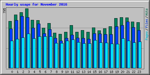 Hourly usage for November 2016