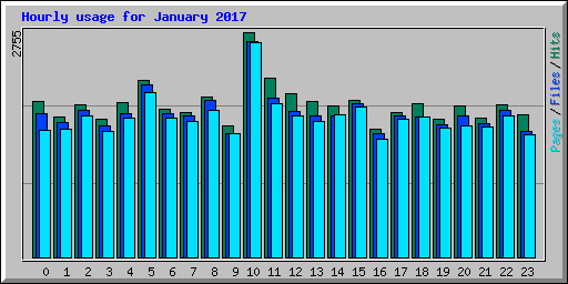 Hourly usage for January 2017